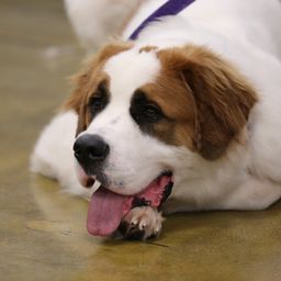 photograph by PeterW